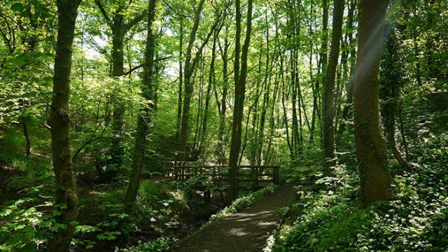 ОвенНе лош ден до голяма степен способстващ за изпълнение на