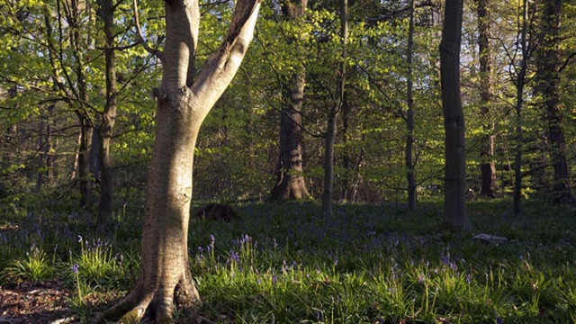 ОвенВъзможни са трудности в работата Може да се окаже че