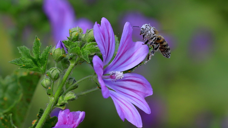Днес въздушната маса над страната временно ще се стабилизира. Ще бъде