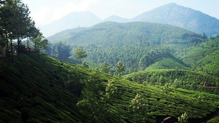 ОвенПрез този ден партньора или началника може да са в