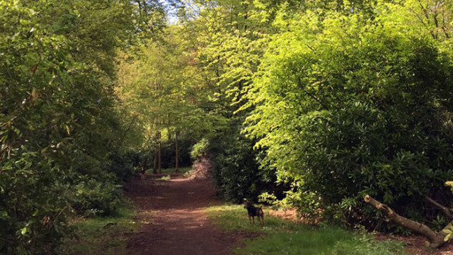 ОвенДнес на Вашия любим човек няма да му се иска