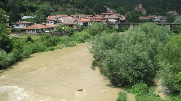 Изхвърлените прасета в р. Янтра не са били болни от чума