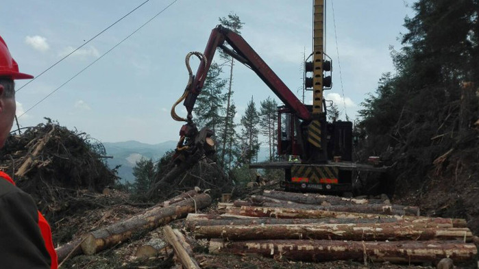 Смяната на директори на горски стопанства е безсмислена, трябва да