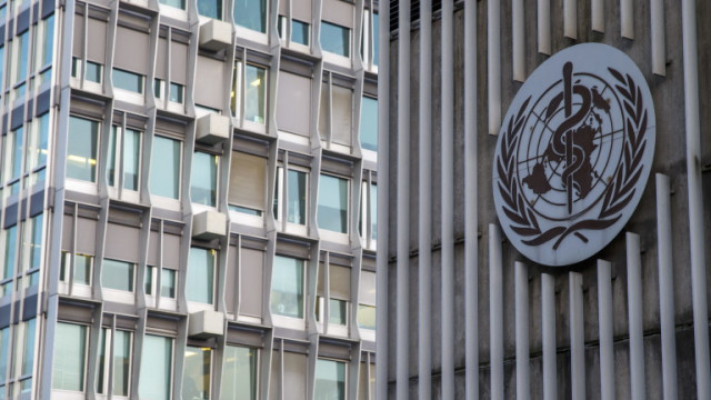 Висш служител на Световната здравна организация заяви в понеделник че СЗО не може