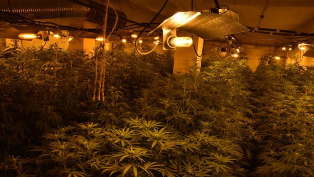 Задържани са двама мъже за производство и разпространение на наркотици