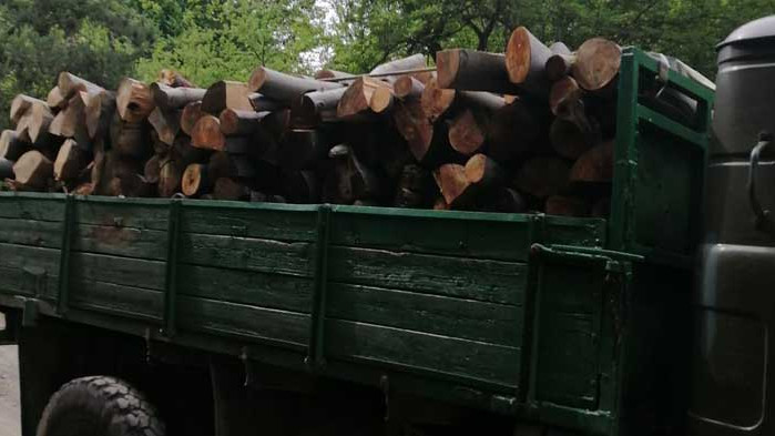 Екип на Изпълнителна агенция по горите задържа дървесина с невалидни превозни билети