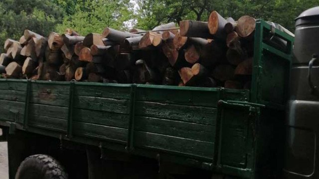 Екип на Изпълнителна агенция по горите задържа дървесина с невалидни