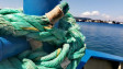 Животът навътре. Среща отблизо с Черноморския риболов (СНИМКИ)