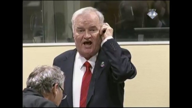Присъдата за бившия командир на босненските сърби генерал Ратко Младич