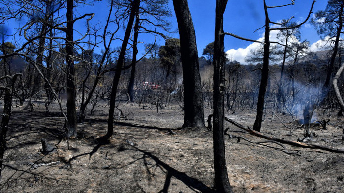 Гърция хвърля €1,76 млрд. срещу горските пожари