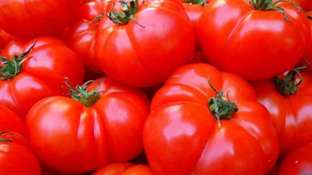 България е внесла 88 000 тона пресни зеленчуци и близо