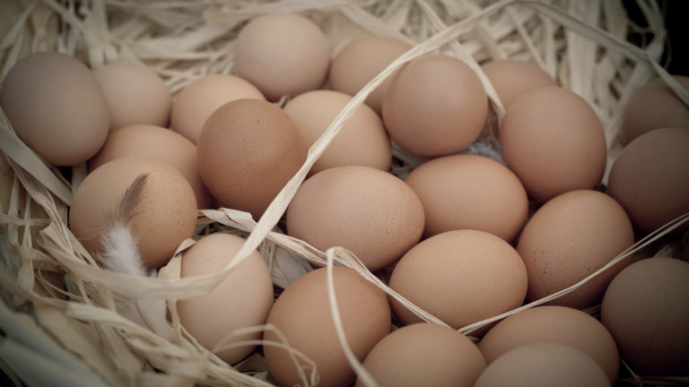 Птицевъди: Браншът е пред колапс, догодина може да ядем само вносни яйца