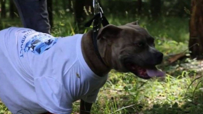 Членове на партията на обвиняемия Васил Божков, решиха да се