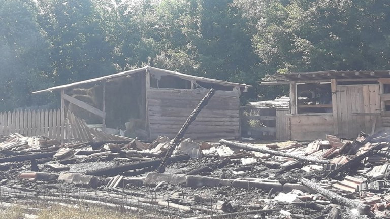 Мълния изпепели ферма край Разлог, съобщи БНР. Сигналът е подаден