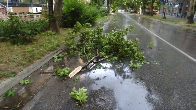 Буря се разрази в Пловдив около 20 ч. снощи -