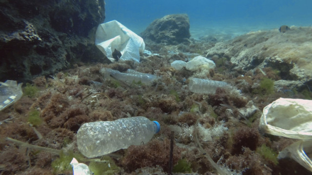 Глобалното замърсяване с пластмаса се насочва към необратима повратна точка