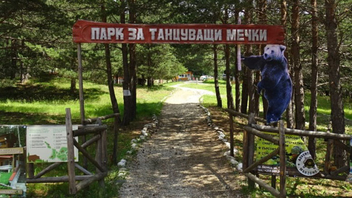 Над 8400 души са се включили в петиция срещу искането на кмета