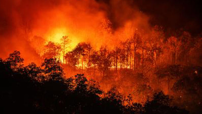 Три големи пожара бушуват на о-в Кипър, предаде в. Сайпръс
