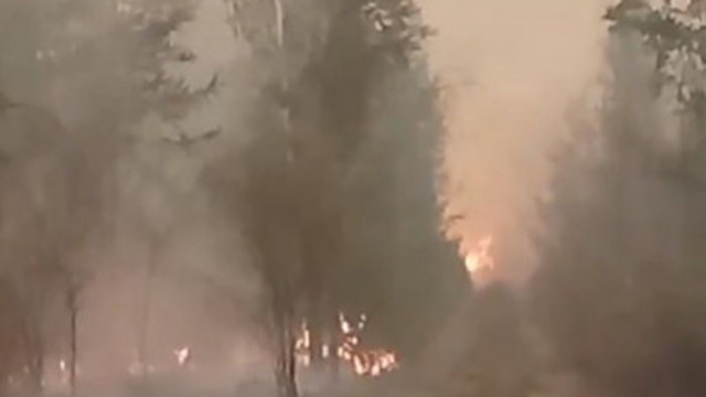 Хиляди пожарникари се борят с горски пожари в Русия главно