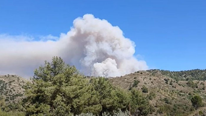 Израел изпрати два противопожарни самолета Air Tractor AT-602 в Кипър