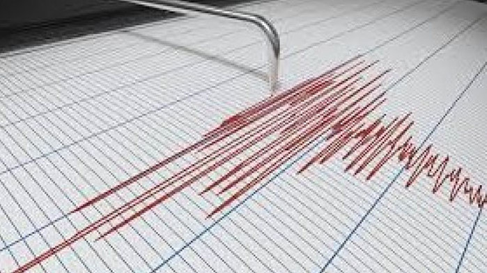 Земетресение с магнитуд 4.1 по Рихтер е регистрирано на територията