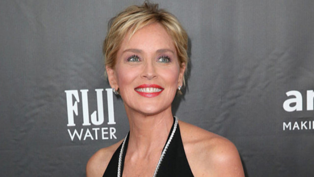 Откакто се разведе с известния журналист Фил Бронщайн през 2004