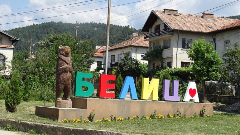 Повече от 50 000 подписа в защита на мечката в Белица