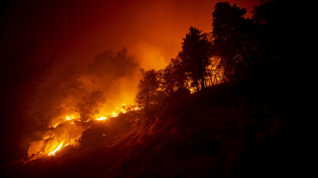 Пламъци от горските пожари в руската Челябинска област обхванаха в