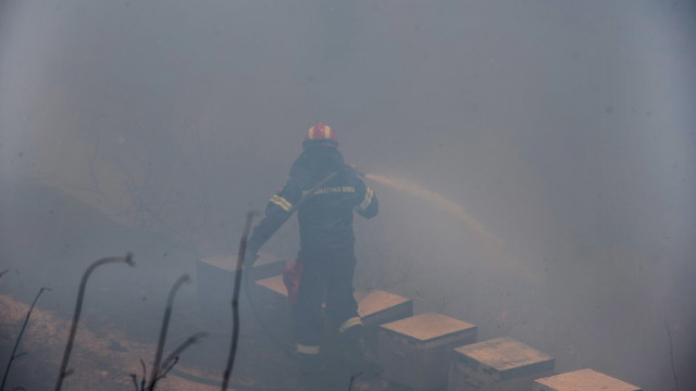Над 50 горски пожари овладяваха днес огнеборци на гръцкия остров Евбея