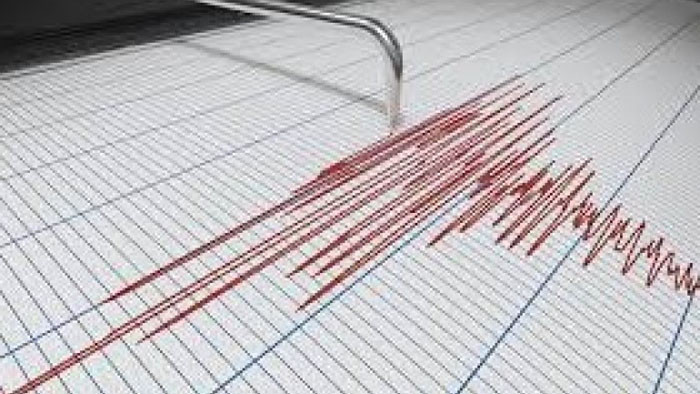 Земетресение с магнитуд 4,1 регистрираха във Вранча
