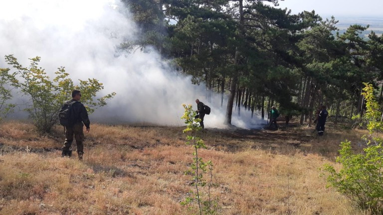 Близо 170 горски пожара са изгасени за денонощие у нас. Това