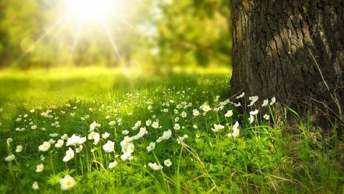 Ще бъде слънчево. След обяд ще има временни увеличения на