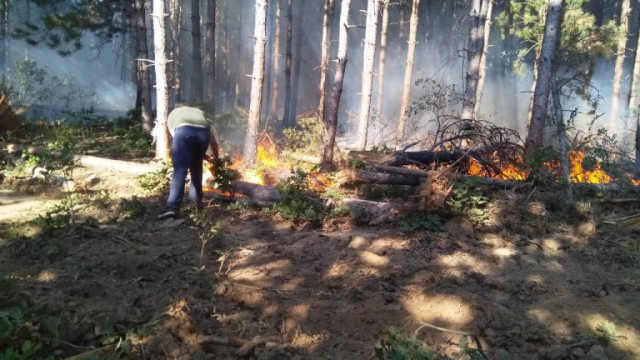 Нов горски пожар пламна днес на Сакар планина предаде bTV Засега