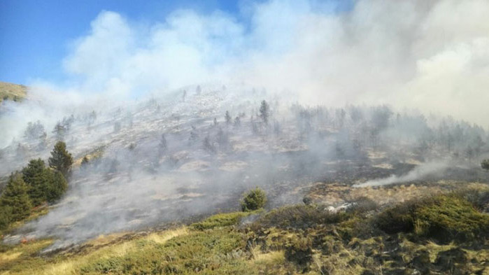 Овладян е пожарът в Сакар планина - между харманлийските села