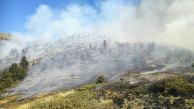 Овладян е пожарът в Сакар планина между харманлийските села