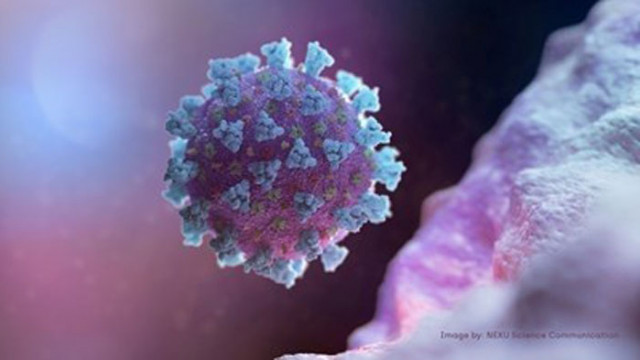 Тревога предизвиква установяването на нови случаи на коронавирус в детски