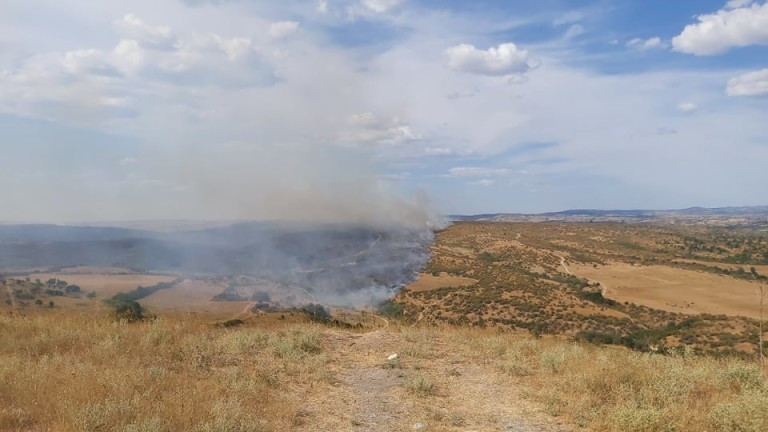 Огнеборците, които гасят пожара край благоевградското село Бучино, вече овладяха
