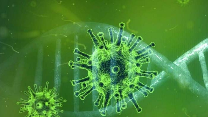 Новият щам на коронавируса е шест пъти по-заразен от предишния