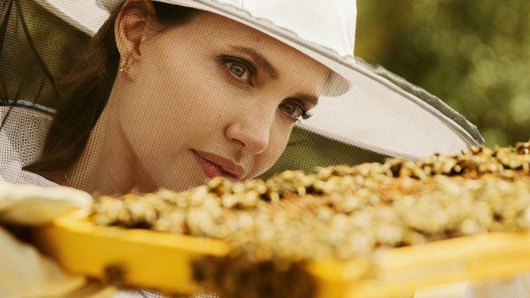 Анджелина Джоли стана кръстница на програмата за опазване на пчелите