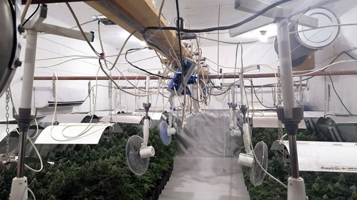 Разбиха модерна наркооранжерия със собствена електроцентрала