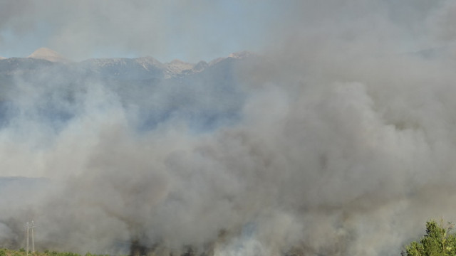 Локализиран е пожарът който пламна днес в следобедните часове край кюстендилското
