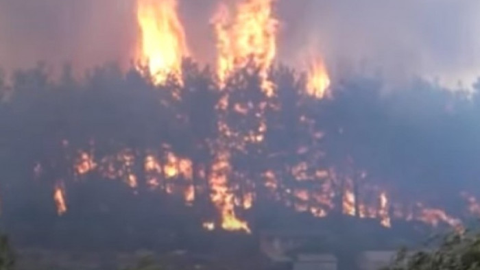Властите разследват причината за пожара Няма данни за пострадали или