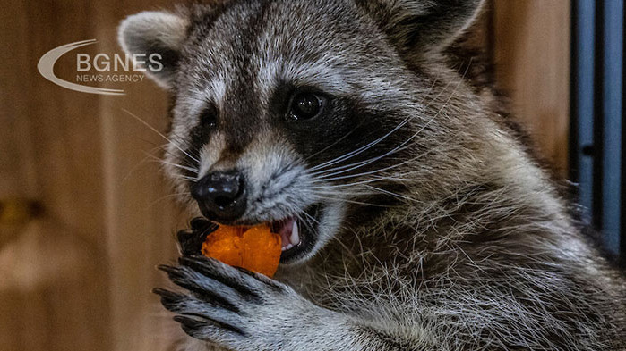 Спасителните служби в южния руски град Краснодар се отзоваха на