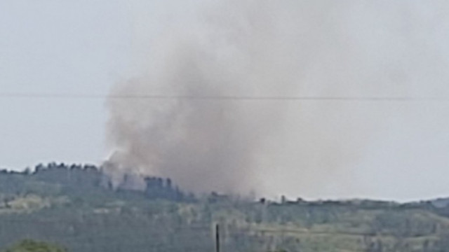 Голям горски пожар бушува в боров масив над село Виден