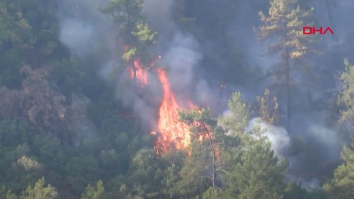 В голяма степен огнищата са потушени, но битката продължава 4