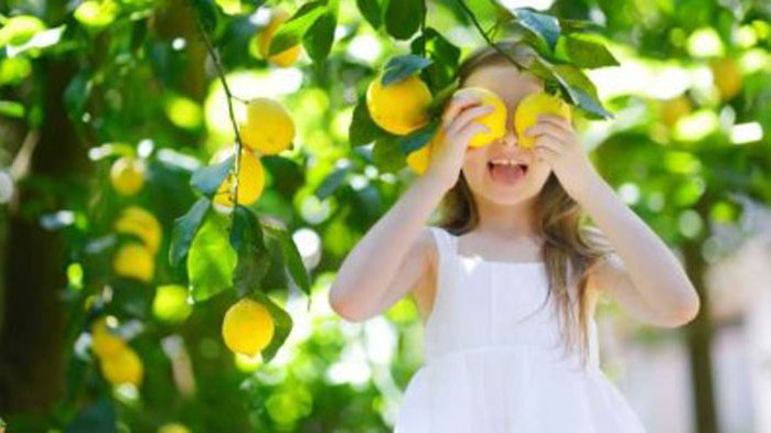 Интересни факти за лимоните