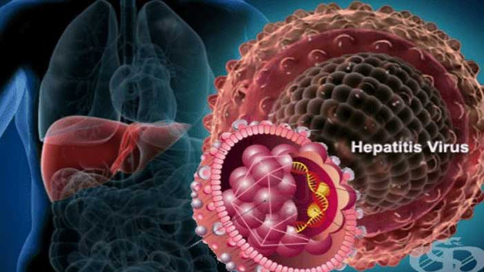 Тихата болест – 80 хиляди души в България имат хепатит С, без да знаят