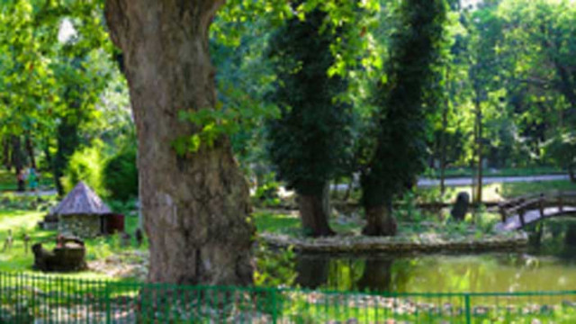 Ремонтират спасителния център в зоопарка