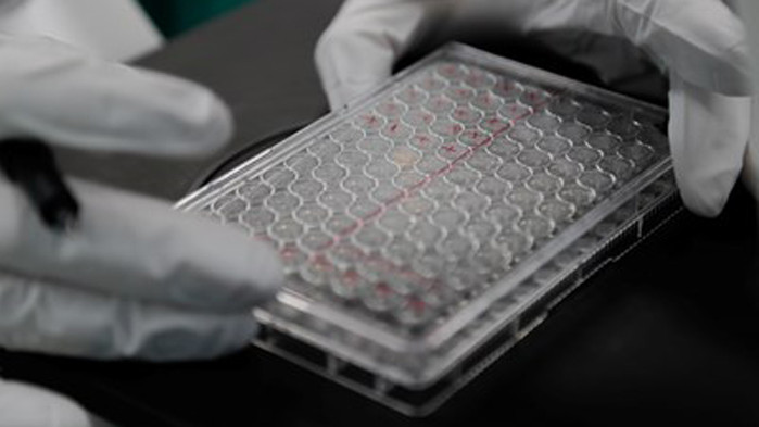 През есента ще се разбере действа ли ваксина срещу COVID-19