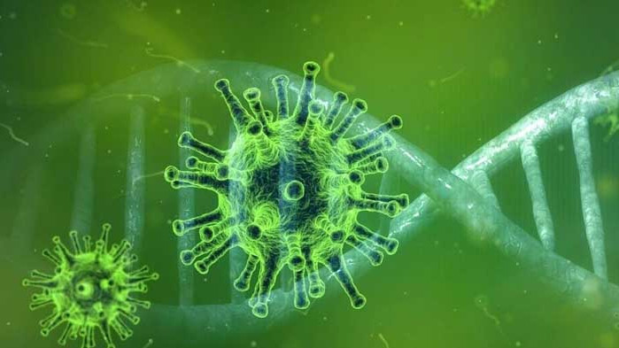 Силната имунна система пречи на лечението от коронавирус